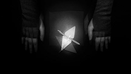 To Fold One Thousand Cranes